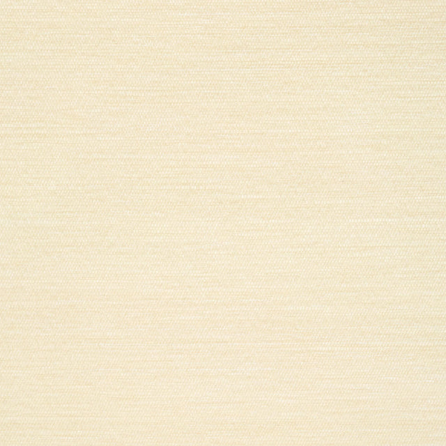 Thibaut Surfrider Cream Wallpaper