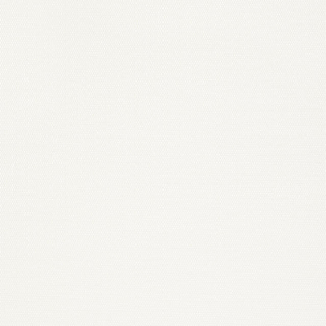 Thibaut Surfrider White Wallpaper