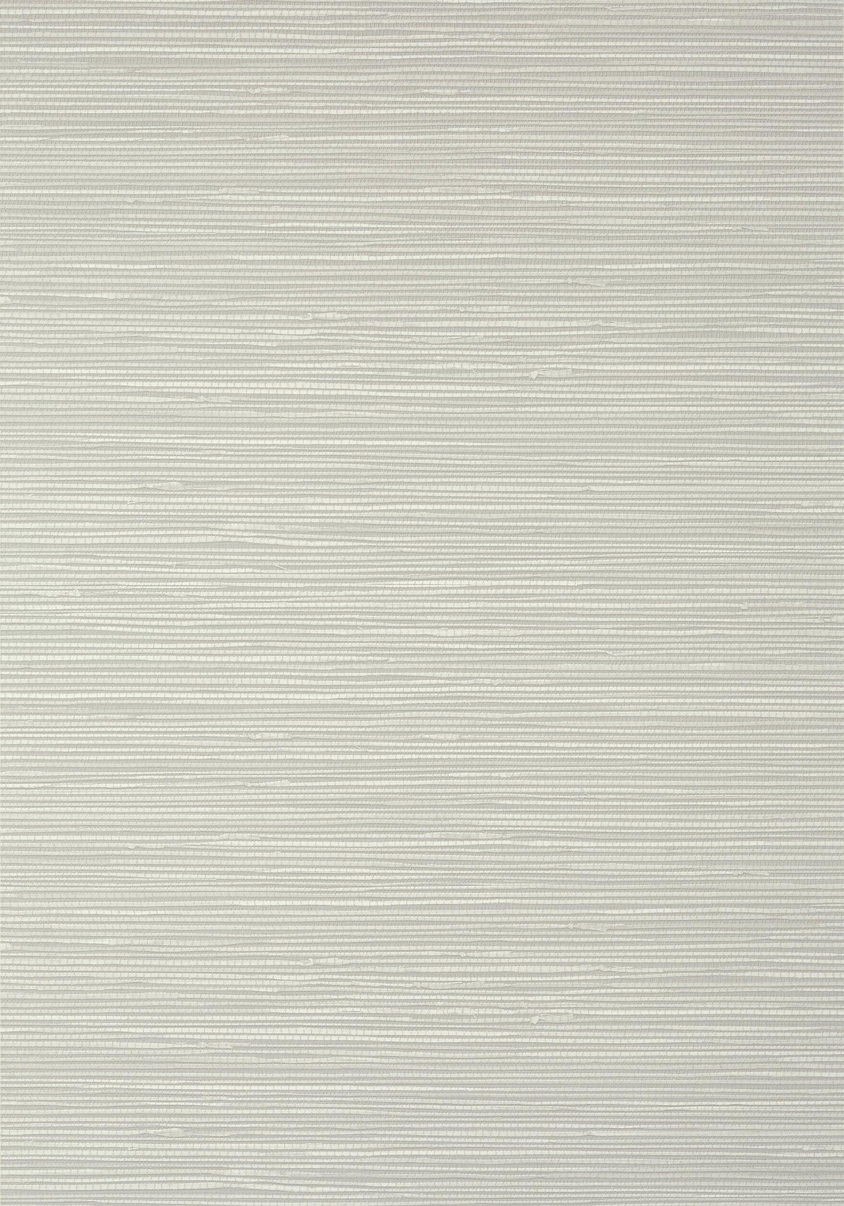 Thibaut ST. THOMAS Grey Wallpaper