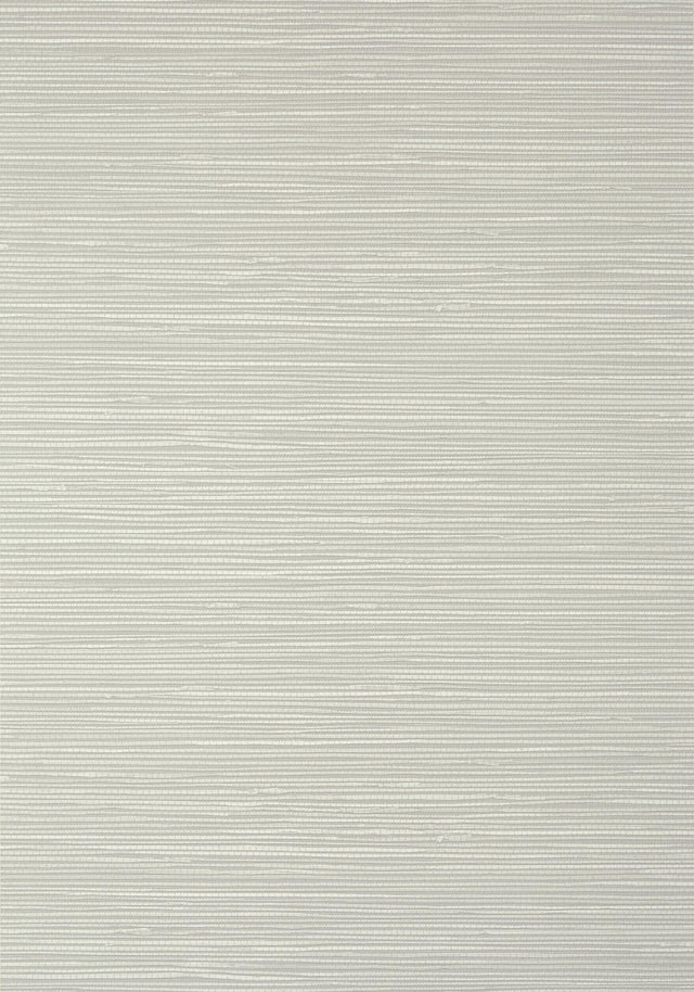 Thibaut ST. THOMAS Grey Wallpaper