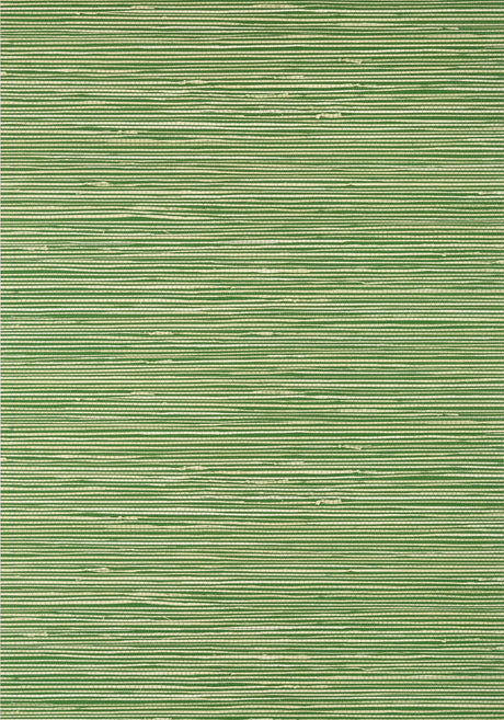 Thibaut ST. THOMAS Emerald Wallpaper