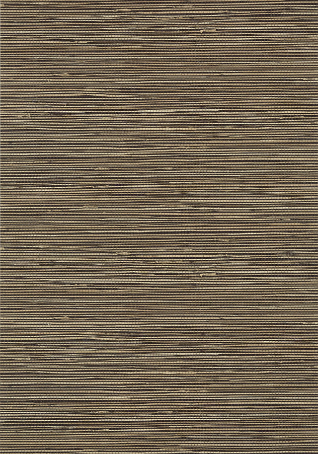 Thibaut ST. THOMAS Black Wallpaper