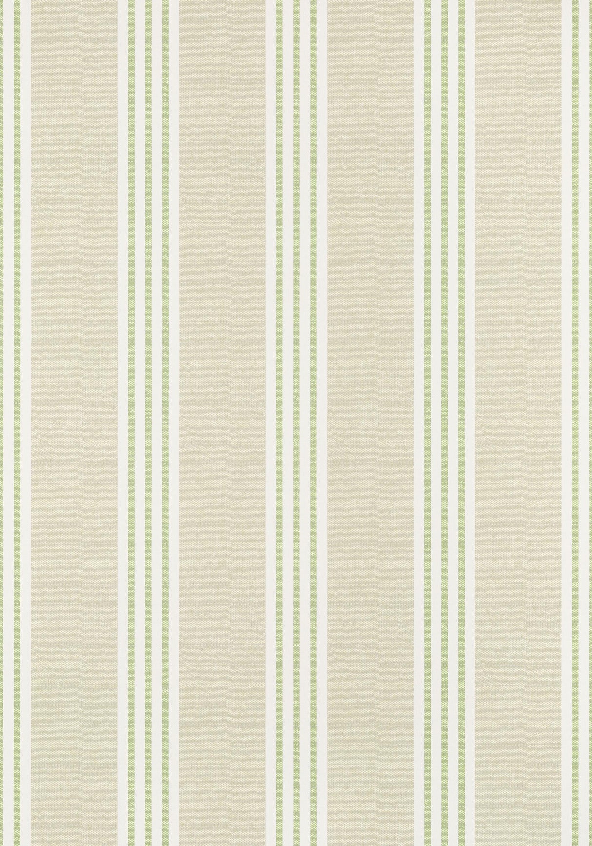 Thibaut CANVAS STRIPE Green Wallpaper