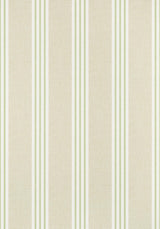 Thibaut CANVAS STRIPE Green Wallpaper