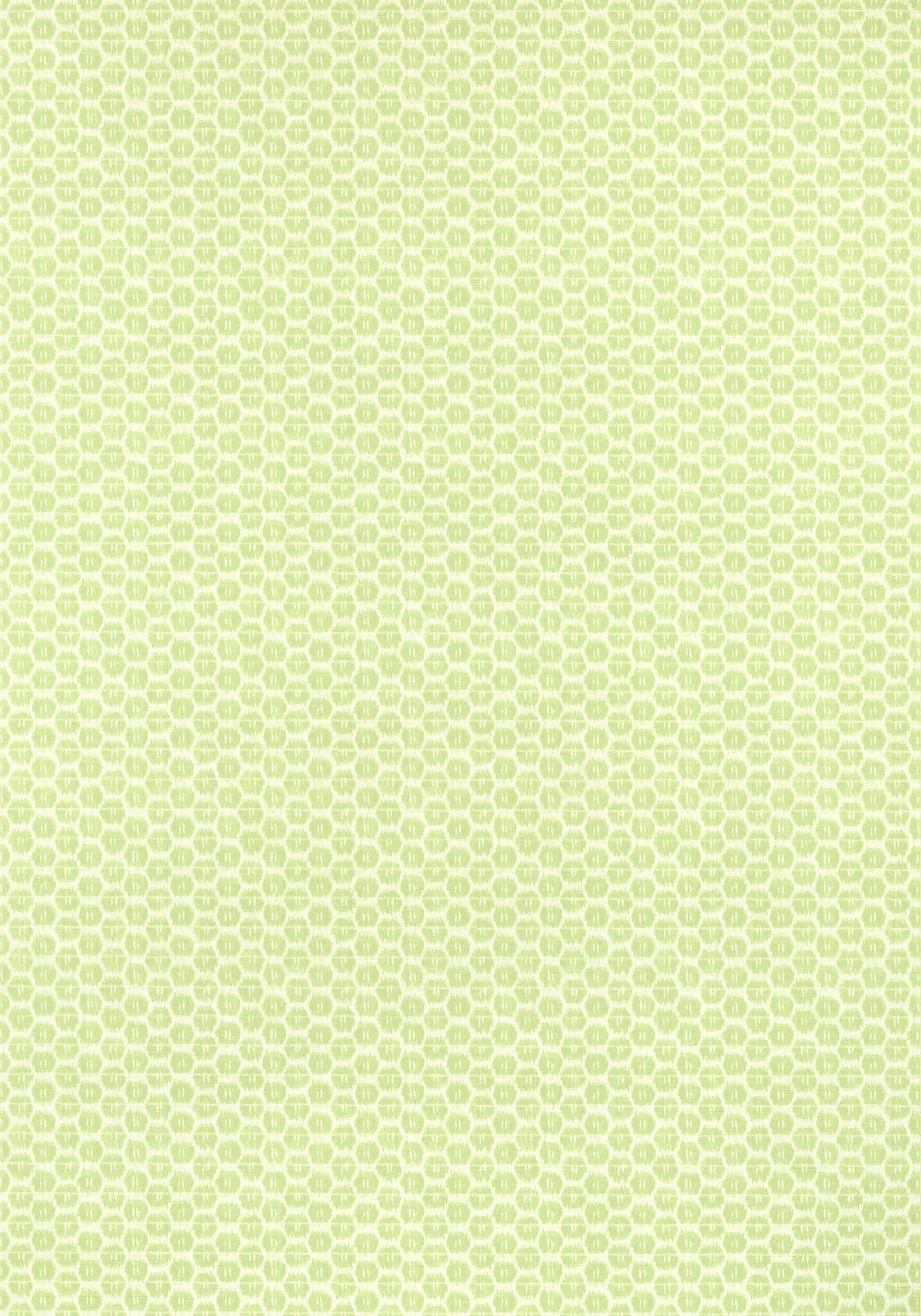 Thibaut AKARI Spring Wallpaper