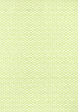 Thibaut AKARI Spring Wallpaper