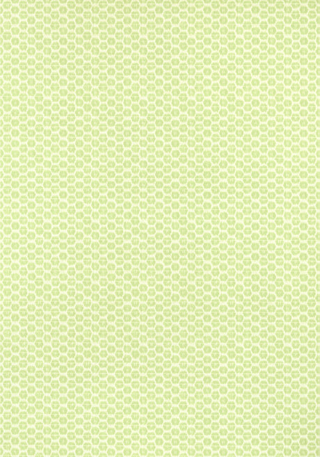 Thibaut AKARI Spring Wallpaper