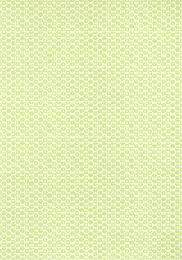Thibaut AKARI Spring Wallpaper