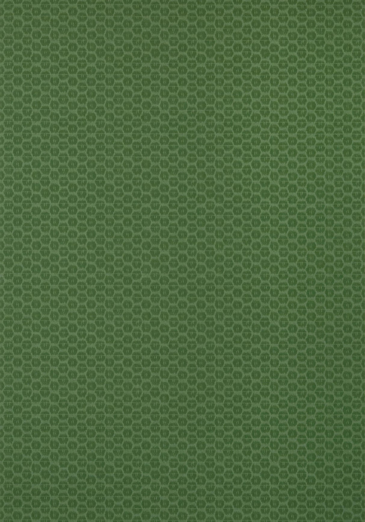 Thibaut AKARI Emerald Wallpaper