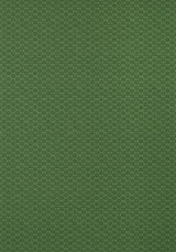 Thibaut AKARI Emerald Wallpaper