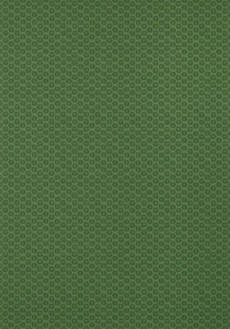 Thibaut AKARI Emerald Wallpaper