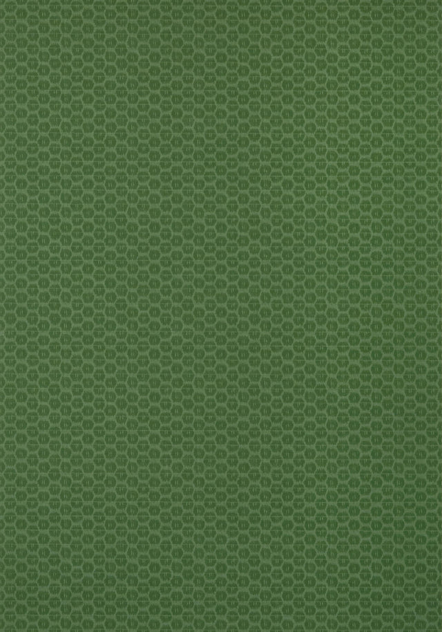Thibaut AKARI Emerald Wallpaper