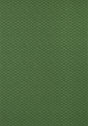 Thibaut AKARI Emerald Wallpaper