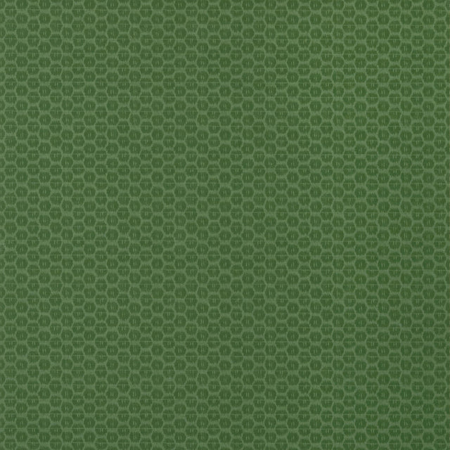 Thibaut Akari Emerald Wallpaper