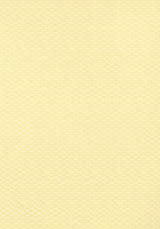 Thibaut AKARI Yellow Wallpaper