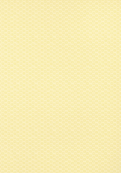 Thibaut AKARI Yellow Wallpaper