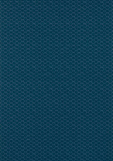 Thibaut AKARI Navy Wallpaper