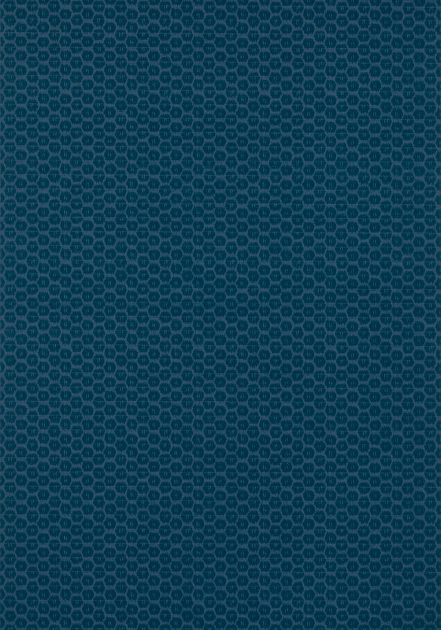 Thibaut AKARI Navy Wallpaper