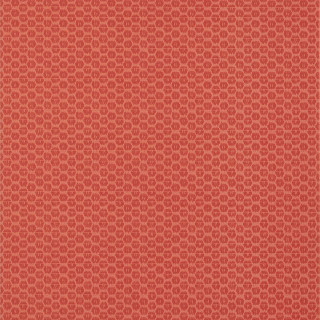 Thibaut Akari Coral Wallpaper