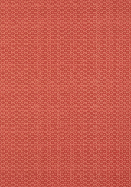 Thibaut AKARI Coral Wallpaper