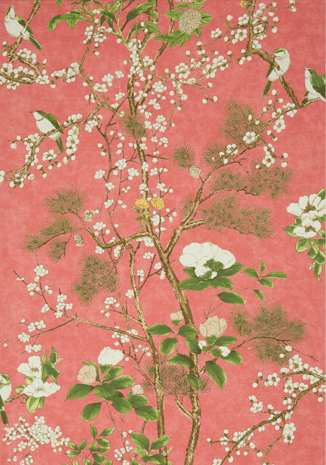 Thibaut KATSURA Coral Wallpaper
