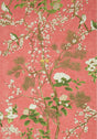 Thibaut KATSURA Coral Wallpaper