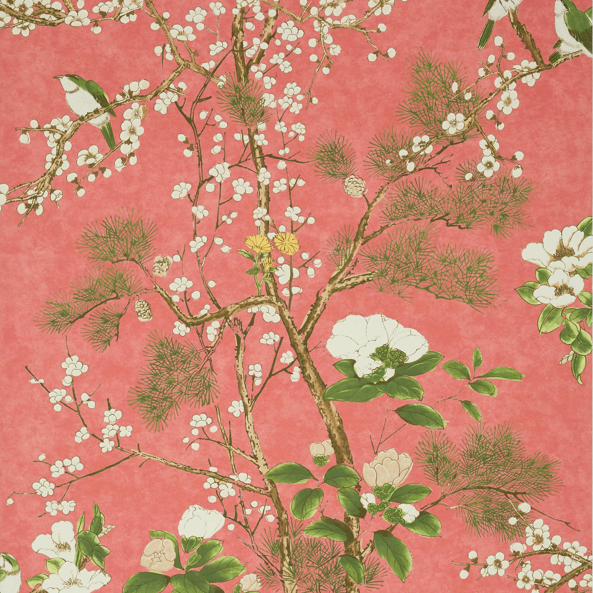Thibaut Katsura Coral Wallpaper