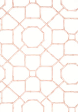 Thibaut ARBOR Blush Wallpaper