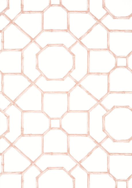 Thibaut ARBOR Blush Wallpaper