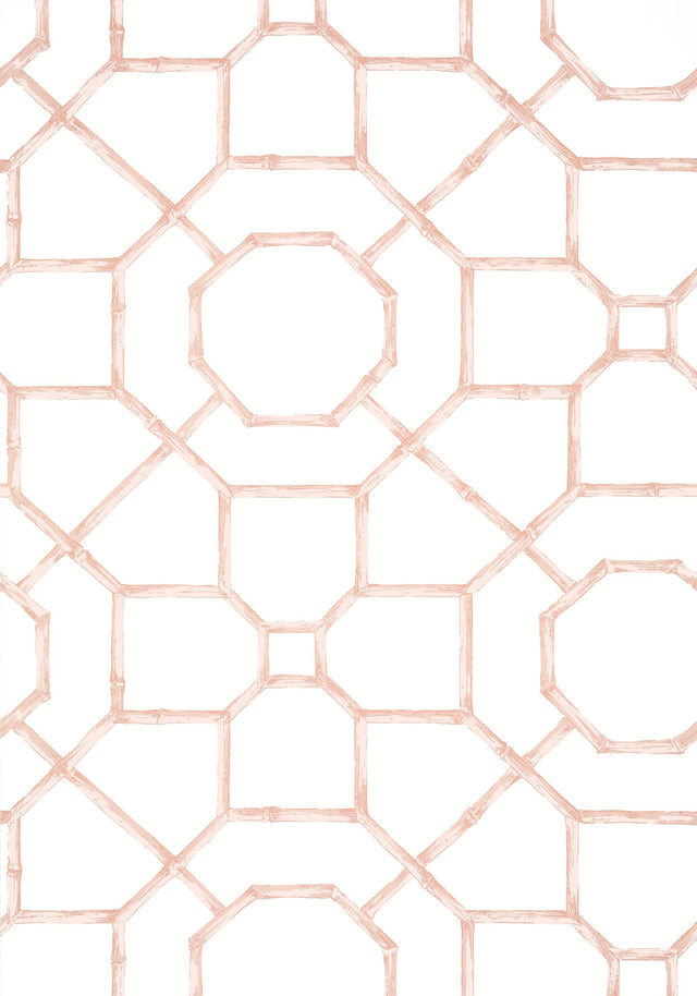 Thibaut ARBOR Blush Wallpaper