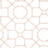 Thibaut Arbor Blush Wallpaper