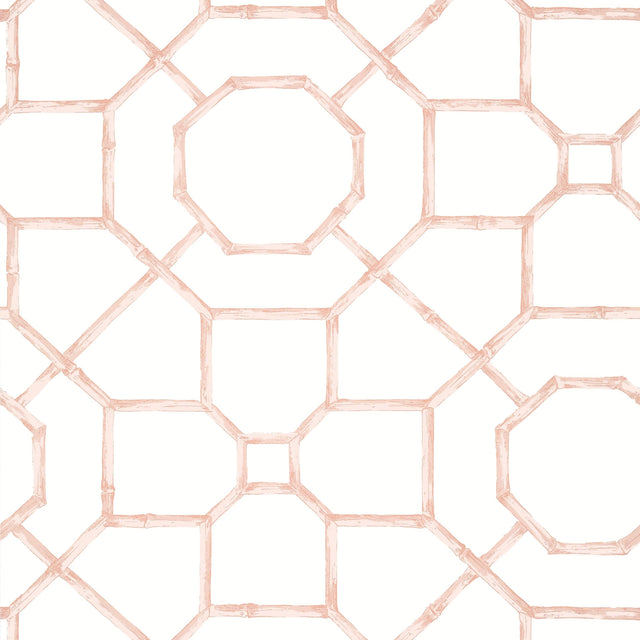 Thibaut Arbor Blush Wallpaper