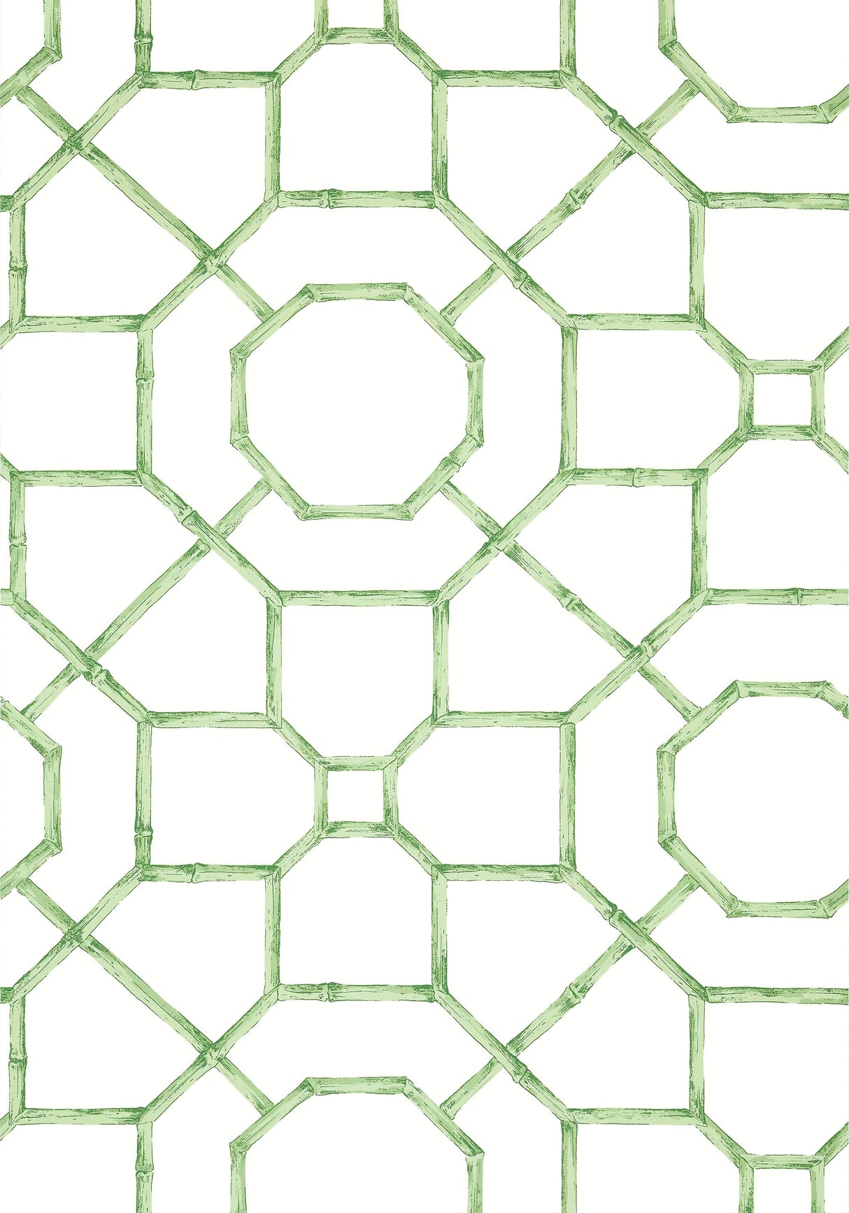Thibaut ARBOR Green Wallpaper