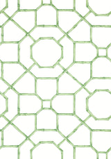 Thibaut ARBOR Green Wallpaper