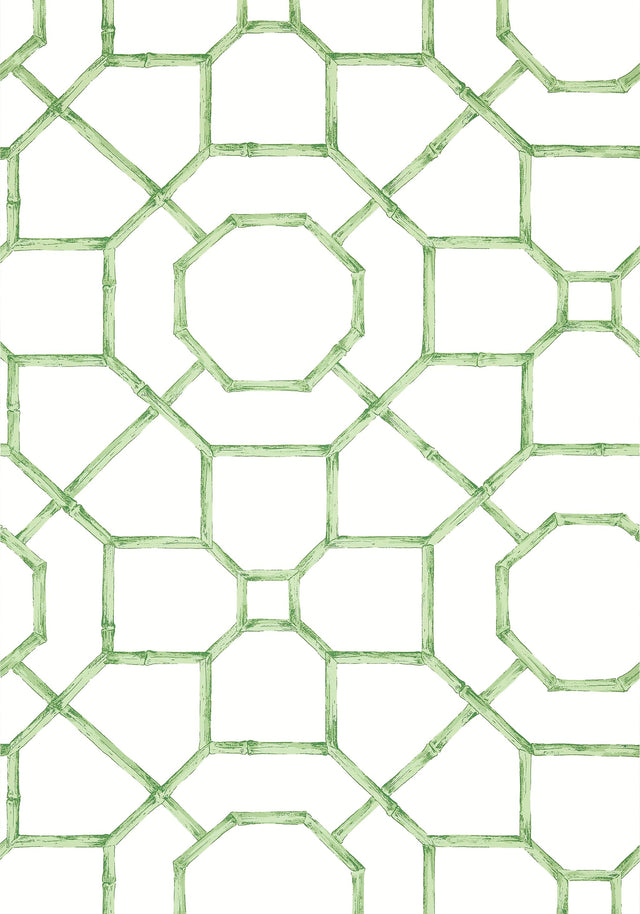 Thibaut ARBOR Green Wallpaper