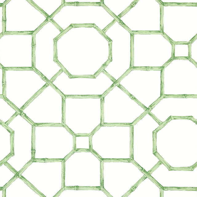 Thibaut Arbor Green Wallpaper