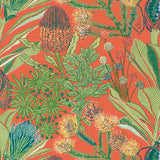 Thibaut PROTEA Coral Wallpaper