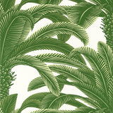 Thibaut QUEEN PALM Green Wallpaper