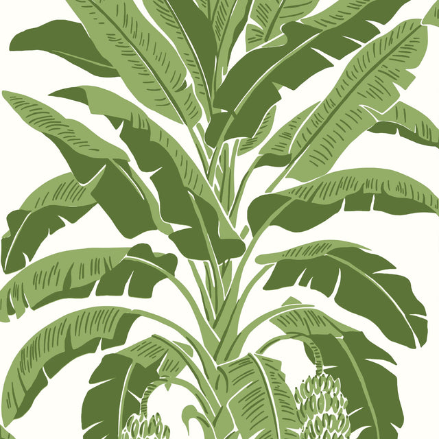 Thibaut BANANA TREE Green Wallpaper