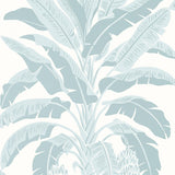 Thibaut BANANA TREE Spa Blue Wallpaper