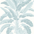 Thibaut Banana Tree Spa Blue Wallpaper