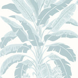 Thibaut Banana Tree Spa Blue Wallpaper