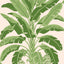 Thibaut BANANA TREE Pink and Green Wallpaper