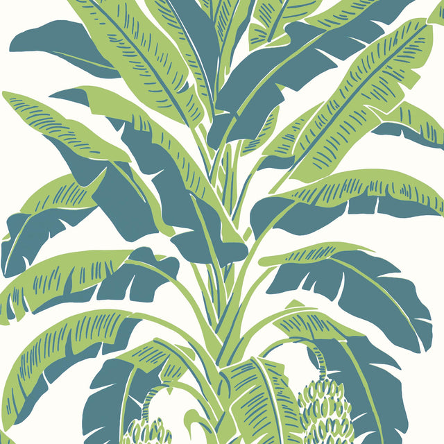 Thibaut BANANA TREE Green and Blue Wallpaper