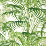 Thibaut Delray Green Wallpaper