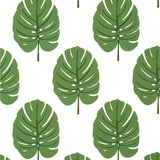 Thibaut Monstera Green Wallpaper