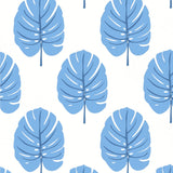 Thibaut Monstera Blue Wallpaper