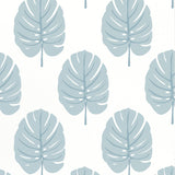 Thibaut MONSTERA Spa Blue Wallpaper