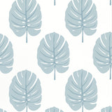 Thibaut Monstera Spa Blue Wallpaper