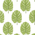 Thibaut MONSTERA Apple Green Wallpaper